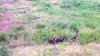 WP_20170509_17_48_58_Pro.jpg