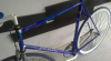 Colnago.PNG