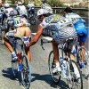 cipollini.jpg
