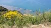 20170609_150238.jpg