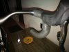 IMG_20170629_205244.jpg