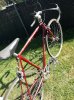 Bianchi-1423892078.jpg
