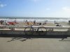IMG_8279.JPG