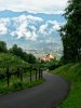 20170722_091537~2.jpg