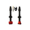 barbieri_valvola-tubeless-ad-carb45.jpg
