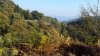 20171013_160005.jpg 20171013_160005.jpg