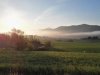 IMG_20171104_072338.jpg