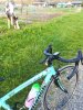IMG_20171123_174832.jpg