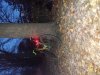 20171130_071642.jpg