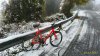 P_20171203_093554_1_HDR_p.jpg