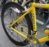 pantani-carreraicaro1.jpg