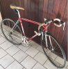 moser1.jpg