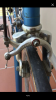 B6C33AAF-77B3-419A-B2E4-F384CC78E84B.png
