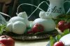 mozzarella-di-bufala-campana.jpg