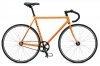 CLASSIC ORANGE.jpg