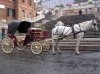 CARROZZA CON CAVALLI.jpg