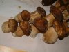 DSCF0145.jpg