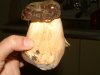 DSCF0151.jpg