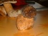 DSCF0154.jpg