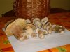 DSCF0525.jpg
