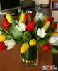 mazzo-di-tulipani-di-colore-misto.155.big.jpg