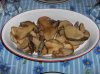 tn_funghi 013.jpg