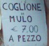 coglione_di mulo.jpg