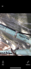 501D18A6-C00B-455C-AA92-4618E3D6125C.png