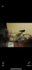 3F43E486-72B1-4621-966C-C75D70A5DCF4.png