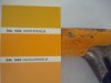 ral1033 giallo dalia DSC07359.JPG