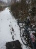 IMG_20180303_122219.jpg
