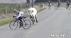 toro-rincorre-ciclista.jpg toro-rincorre-ciclista.jpg