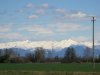 IMG_9988.JPG