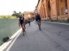 IMG-20180414-WA0004.jpg