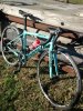 IMG_20161112_131234144.jpg