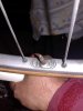 20180501_093144.jpg 20180501_093144.jpg
