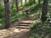 IMG_20180501_103827-800x800.jpg