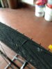 IMG_20180511_162315.jpg