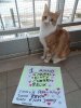 IMG-20180425-WA0043.jpg