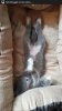 IMG-20170303-WA0003.jpg