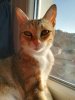 IMG-20171125-WA0019.jpg