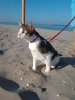 IMG-20171125-WA0018.jpg