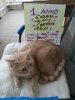 IMG-20180425-WA0068.jpg
