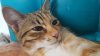 IMG-20170919-WA0053.jpg