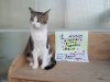 IMG-20180425-WA0054.jpg