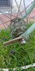 20180513_095533.jpg