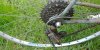 20180513_095425.jpg