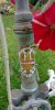 20180513_095128.jpg