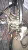 WP_20180419_004.jpg