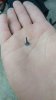 IMG-20180520-WA0006.jpeg